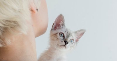 Alergia na kota: objawy i czas pojawienia